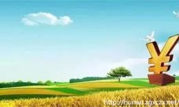 推动农村金融创新 助力乡村振兴