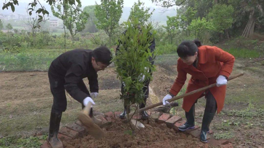 留住青山绿水 助力乡村振兴1.jpg